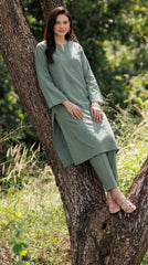 Lawn Embroidered Unstiched 2-Piece - D11