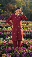 Lawn Embroidered Unstiched 2-Piece - D12