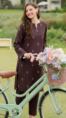 Lawn Embroidered Unstiched 2-Piece - D17