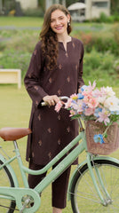 Lawn Embroidered Unstiched 2-Piece - D17
